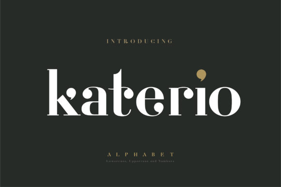 Katerio: A Bold Serif Font for Scroll-Stopping Marketing