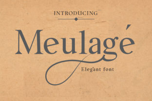 Meulage: A Serif Font That Makes Your Brand Feel Luxurious