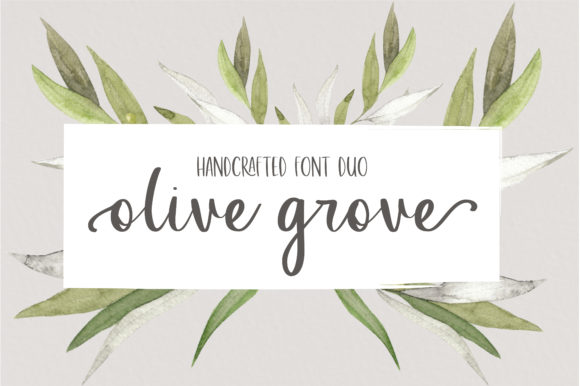 Olive Grove: A Font for Editorial Elegance