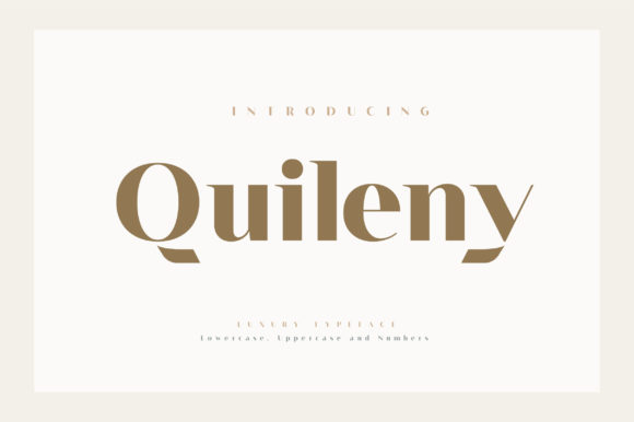 Quileny: A Bold Serif Font for Digital Brand Identity