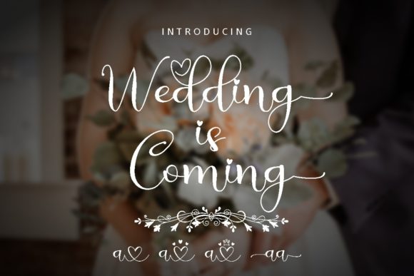 Wedding is Coming: A Script Font for Campaign Creativity